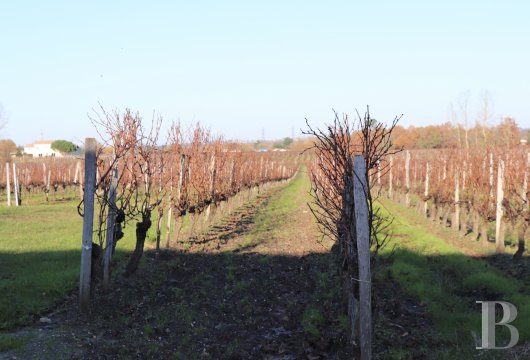 En Côtes de Bourg, sur les hauteurs, une propriété viticole et sa maison girondine rénovée